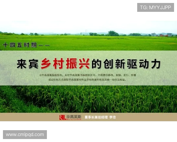 面向全球市场的企业家移民政策趋势与创新驱动发展战略路径深度研究